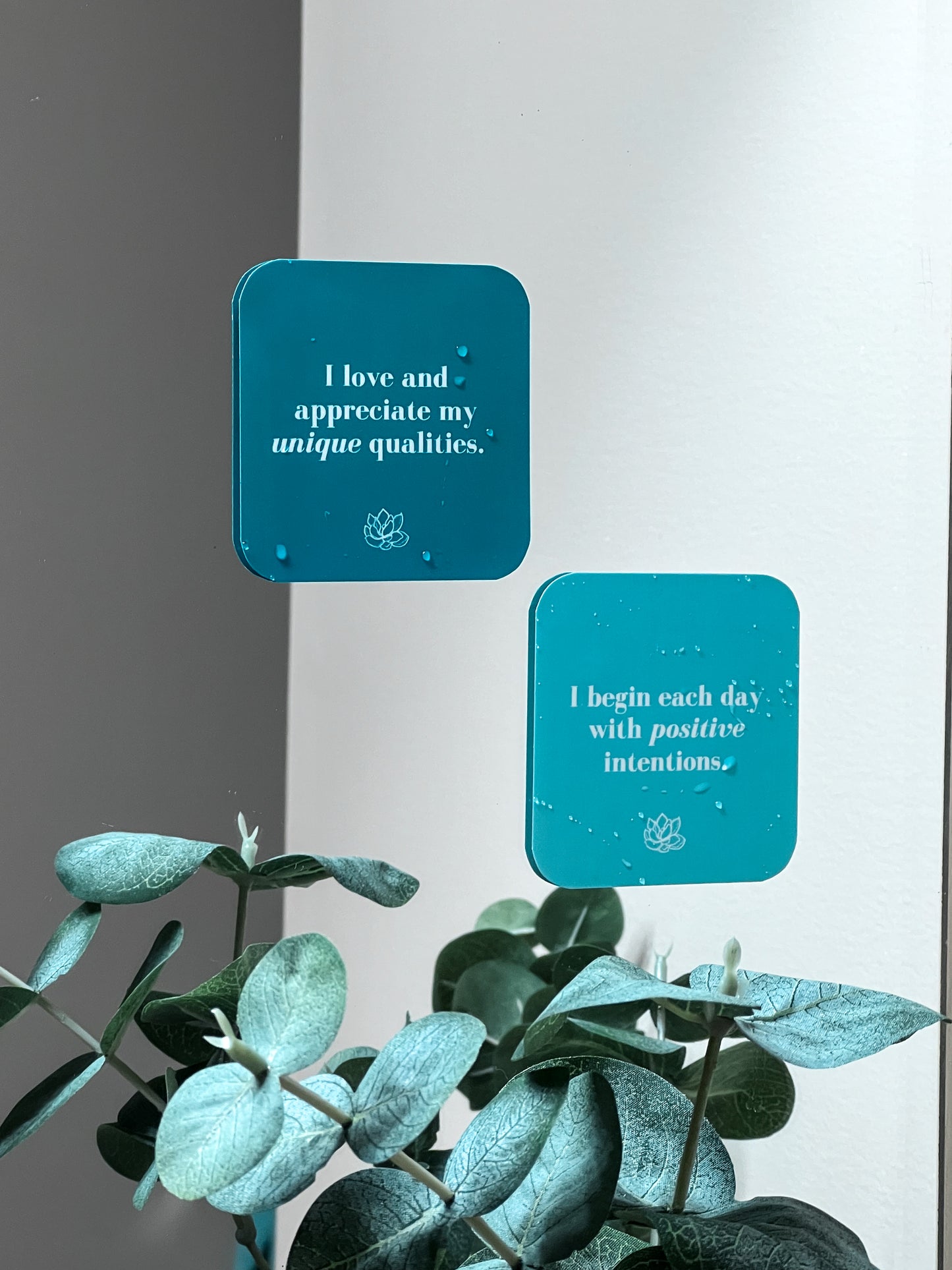 Waterproof Positive Affirmation Cards